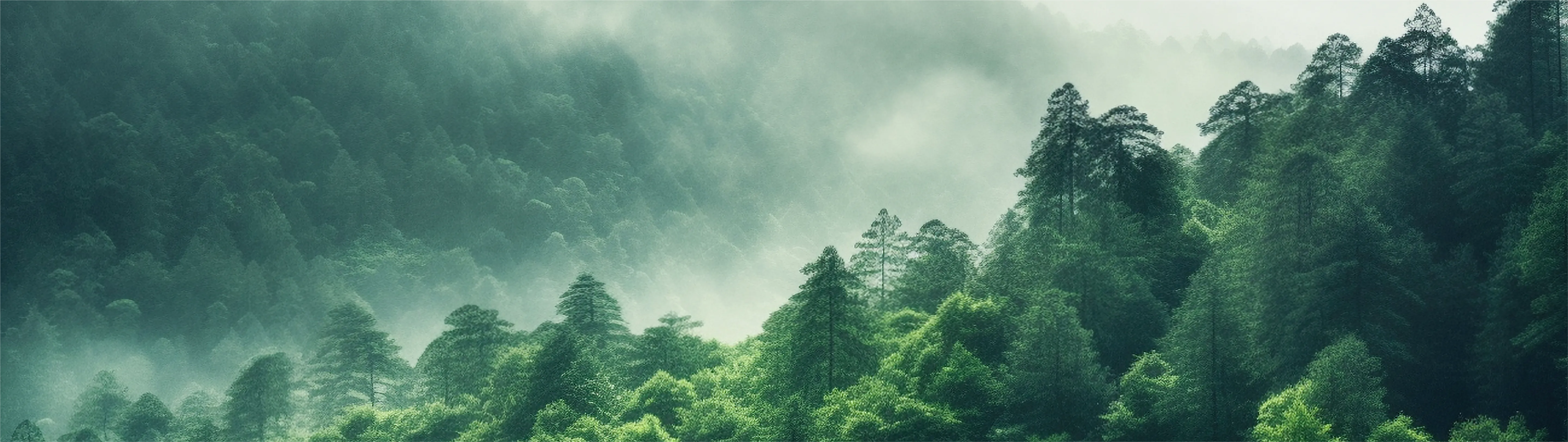 环保升级